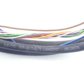 Sensor/trunk cable 