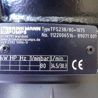 High-pressure coolant screw pump TFS238/80+1875 