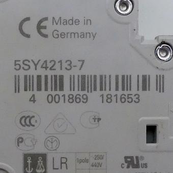 Leistungsschutzschalter 