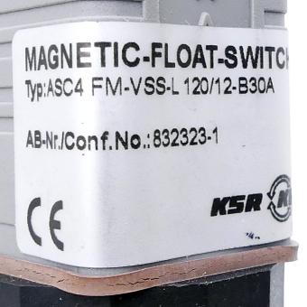 Magnetic float switch 