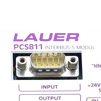 Interbus-S Modul mit Anschlußkabel 