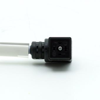 Anschlusskabel KMEB-1-24-2.5-LED 