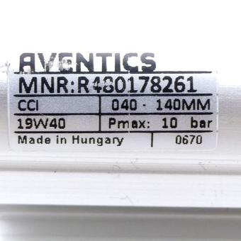 Pneumatic cylinder R480178261 