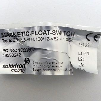 Magnetic float switch 