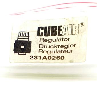 Pressure Regulator 231A0260 