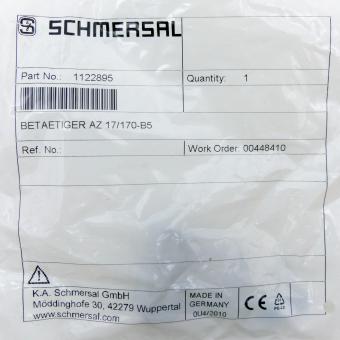 Actuating Element 