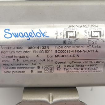 Pneumatic control head 