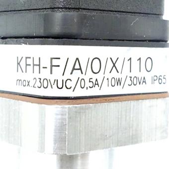 Füllstandsensor KFH-F/A/0/X/110 