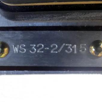 Level switch WS 32-2/315 