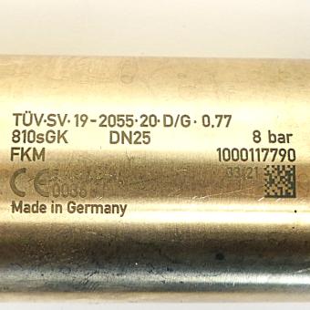 Safety valve 