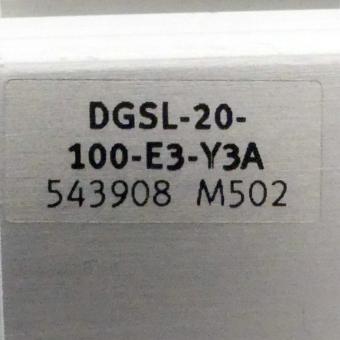 Mini sleigh DGSL-20-100-E3-Y3A 