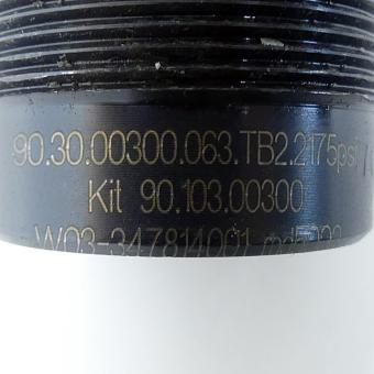 Gas spring 