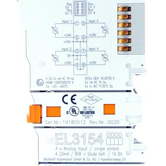 Analog input terminal 