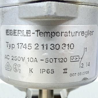 Rod temperature controller STR-IS 