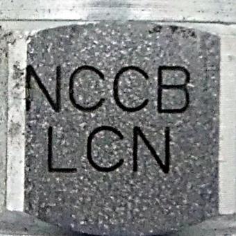 Throttle check valve  