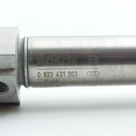 Rundzylinder 12 x 50  Neu