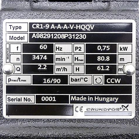 Vertikale mehrstufige Kreiselpumpe CR1-9 A-A-A-V-HQQV A98291208P31230 Neu OVP