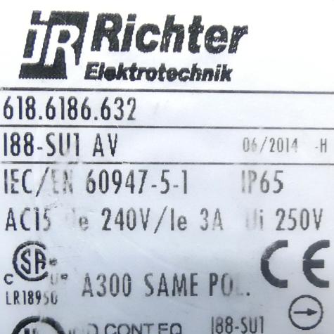 Grenzschalter  Gebraucht