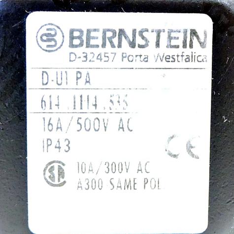 Grenztaster D-U1 PA Gebraucht