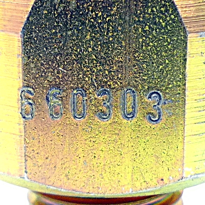 Stecker 250 N21 New