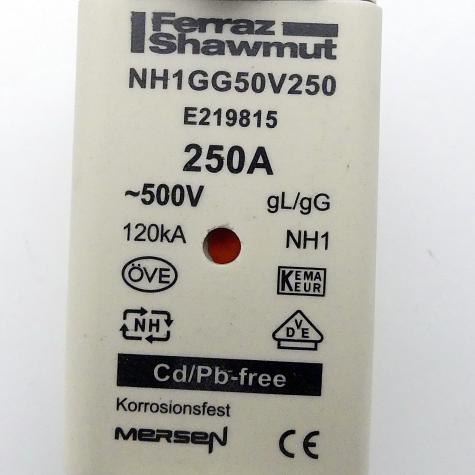 Sicherungseinsatz NH1GG50V250 Neu OVP