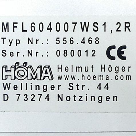 Lamp MFL604007WS1,2R 