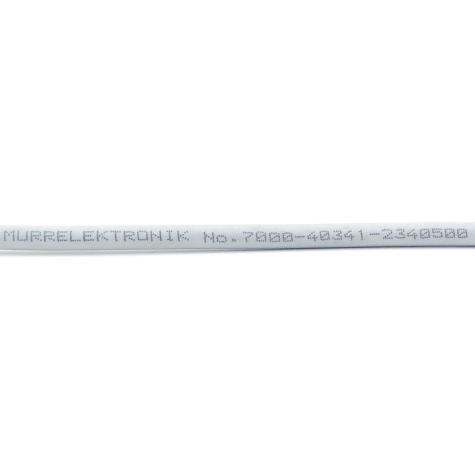 Cable  