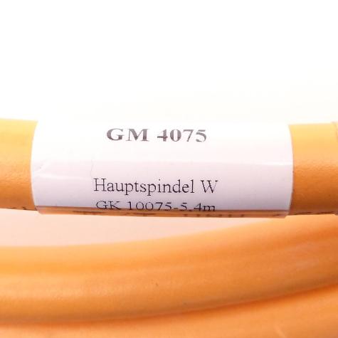 Motorleitung GM 4075 PSL9YC11Y Neu