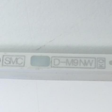 Auto switch D-M9NW New