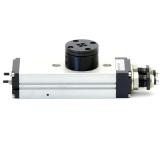 Rotary module  