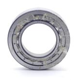 Cylindrical roller bearings  New FS
