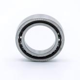 Ball Bearing  New FS