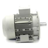 Three-phase motor  New