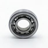 Cylindrical Roller Bearing OAPN New FS