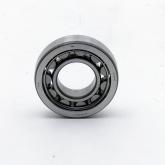 Cylindrical Roller Bearing  New FS