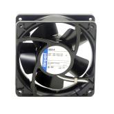 Fan  New