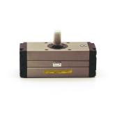 Swivel Drive  New FS