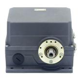 Cam gear  