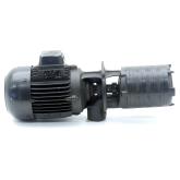 submersible pump TE144/220+001 Used