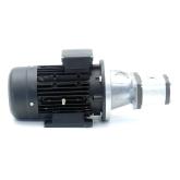 Gear pump with motor HMA2-90L-4  New