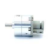 Pneumatic rotary actuator  