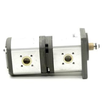 gear pump / double pump 