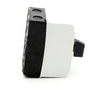 Rotary switch 