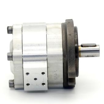 Innenzahnradpumpe EIPS2-006RA04-11S111 