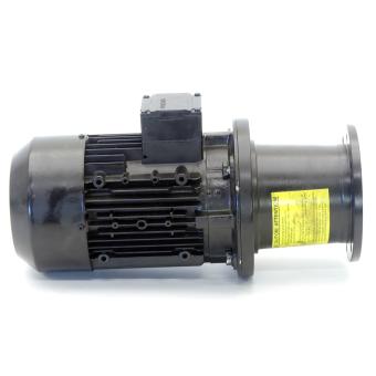 Low-voltage motor 