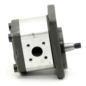 Hydraulik-Zahnradpumpe 