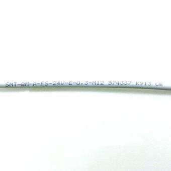 Näherungsschalter SMT-8M-A-PS-24V-E-0,3-M12 