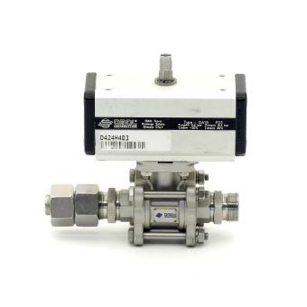 Pneumatic actuator 
