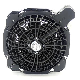 fan 