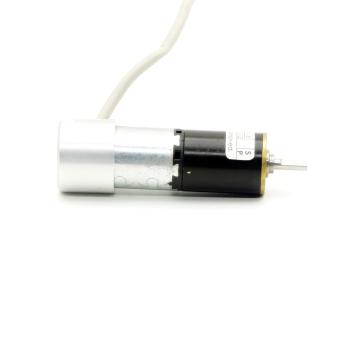 Bürsten- Getriebemotor 